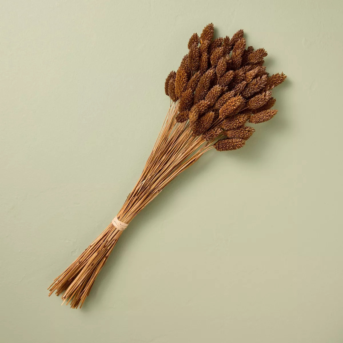 18" Preserved Bunny Tails Fall Bundle - Hearth & Hand™ with Magnolia | Target