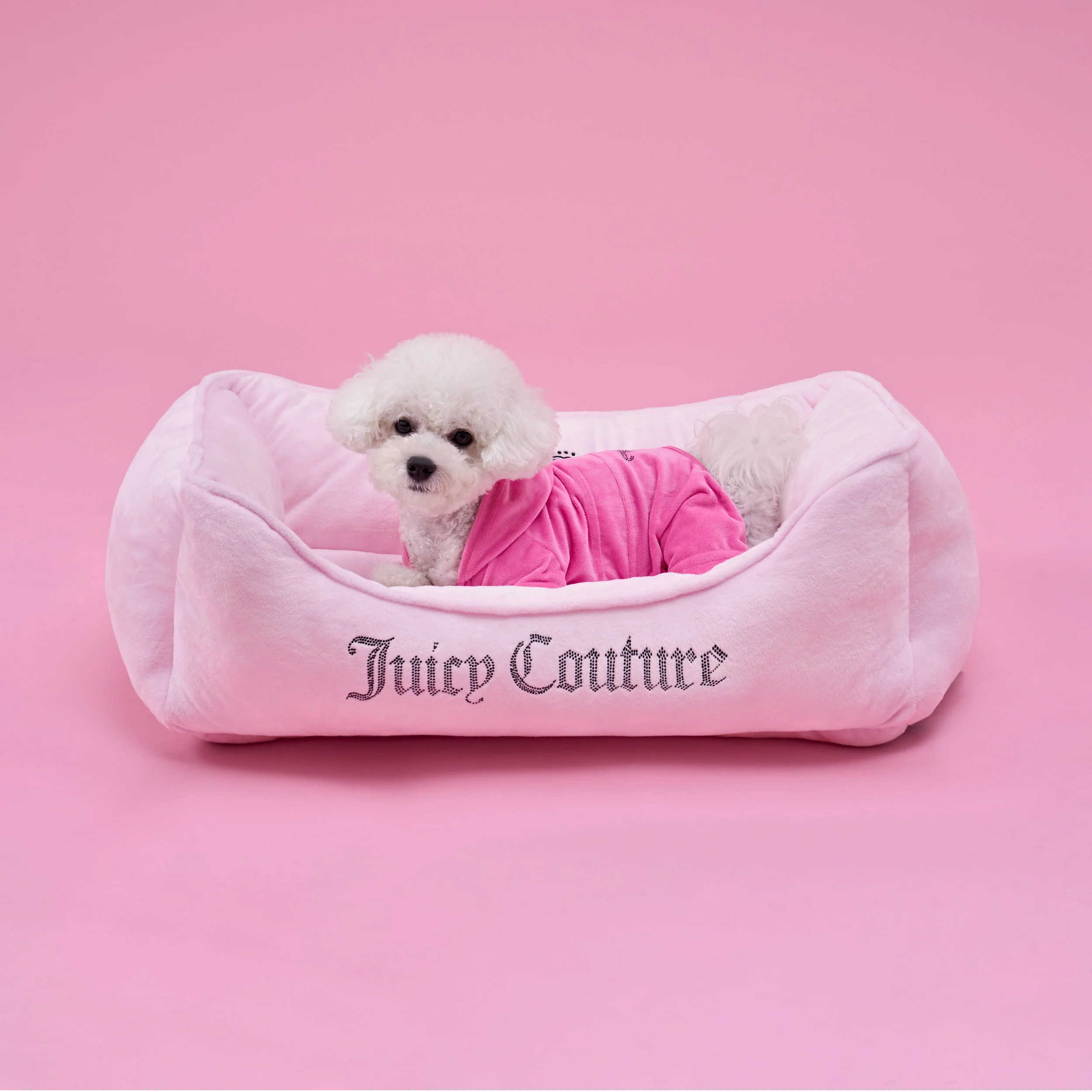 Crown Bling Black Pet Bed | Juicy Couture