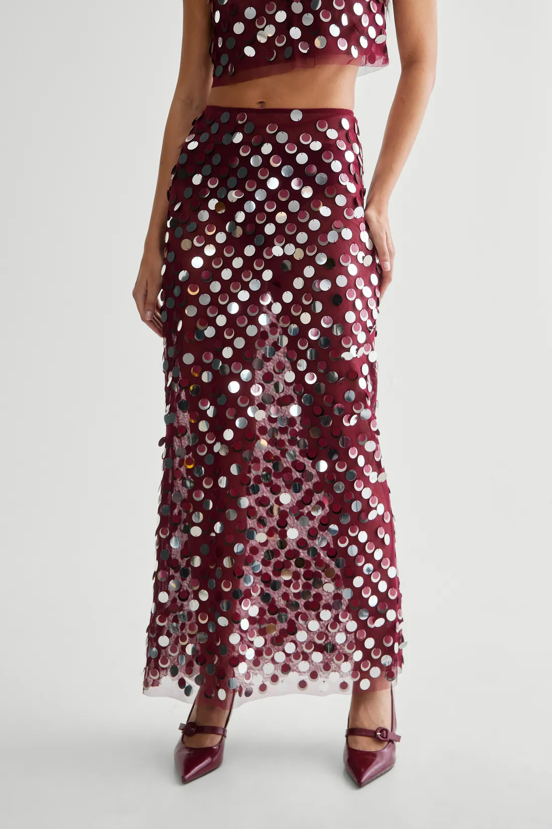 Skirts | Mesh Embellished Sheer Maxi Skirt | NastyGal | NastyGal UK