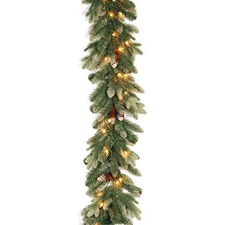National Tree Company Pre-Lit Artificial Christmas Garland, Green, Glittery Bristle Pine, White Ligh | Amazon (US)