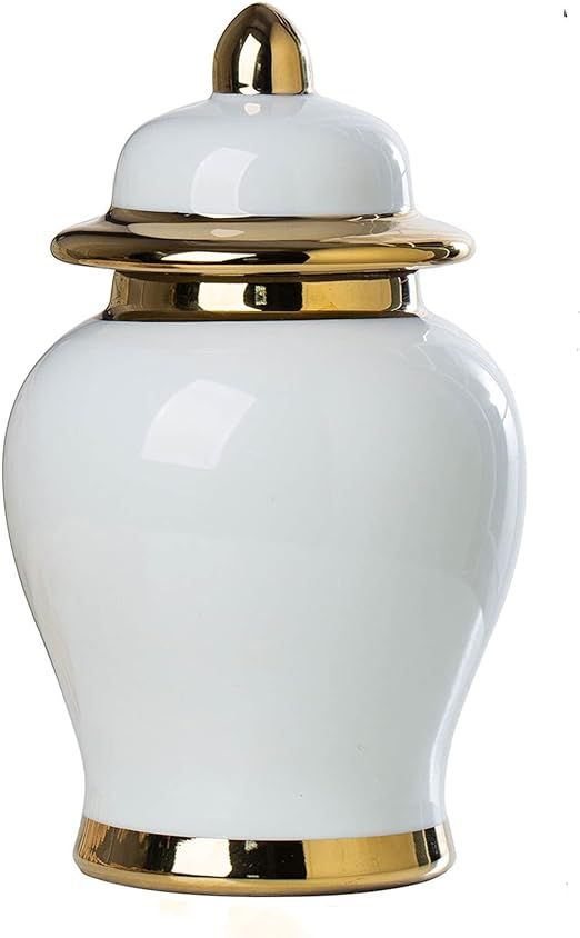 ZRLWIVE White Ceramic Ginger Jar For Living Room Egg-Shell Porcelain Vintage Tall Large Floor She... | Amazon (US)