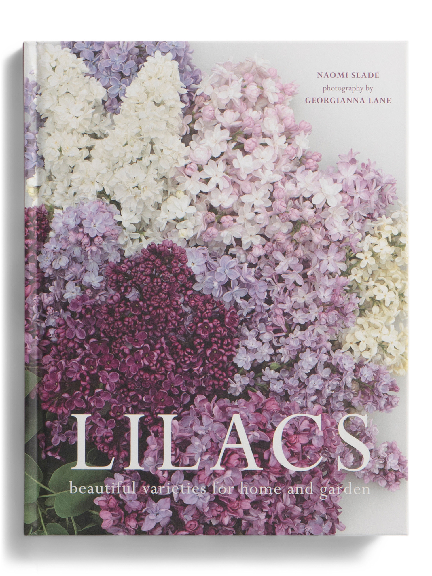 Lilacs Book | TJ Maxx