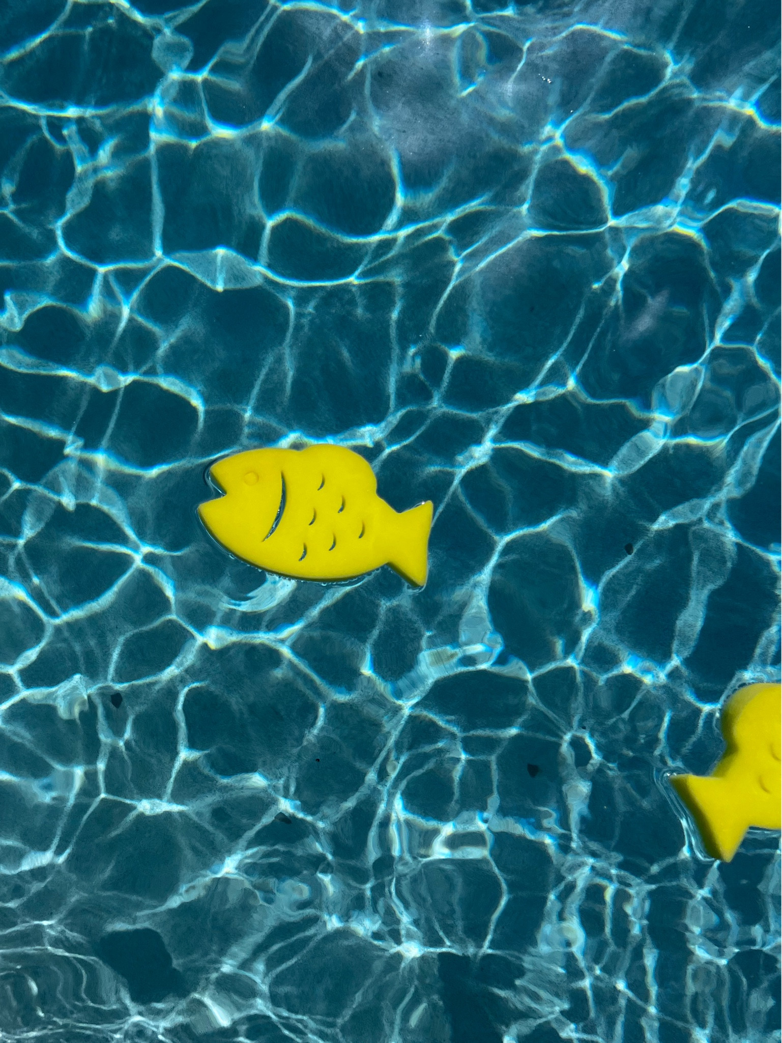 Sunscreen (OIL) Soakers 🐠

After a weekend of fun in the pool, we drop these in to soak up all the sunscreen/oils! 

Comes in a pack of 16 🎉 - remove the little cutout pieces before dropping into the pool! 

#LTKswim #LTKunder50 #LTKSeasonal