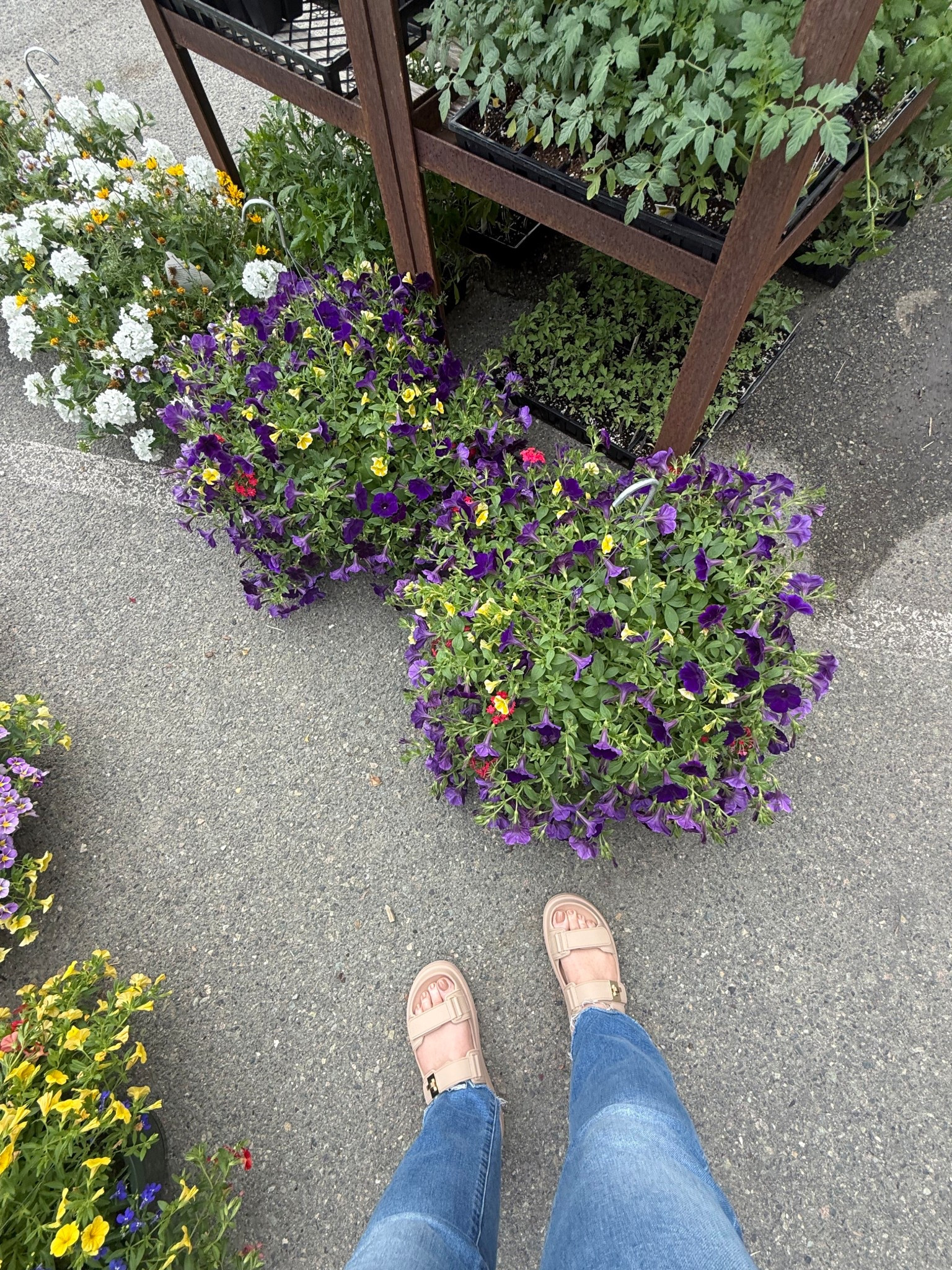 Love my Steve Madden Big Schmona Slides from last year✨ I found a few pairs out there in this bone, neutral color. @Steve Madden US 
#summerslides #jellysandals #neutralsandals #comfysandals
#LTKOver50 #momover50 #over50style
#stevemadden


#LTKdayinmylife #LTKmomlife #LTKSaleAlert