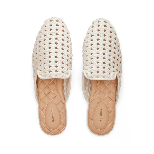 the phoebe | BIRDIES