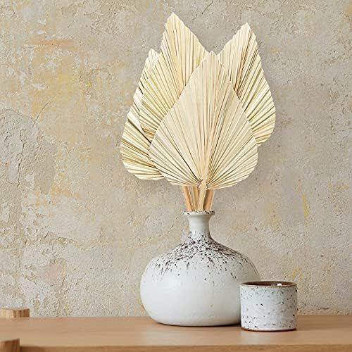 Lanadat Dried Palm Leaves Dried Palm Fans Bohemian Dried Palm Spears Artificial Plants Palm Leave... | Amazon (US)