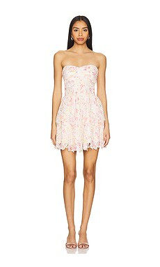 Line & Dot Rosa Mini Dress in Cream & Red from Revolve.com | Revolve Clothing (Global)