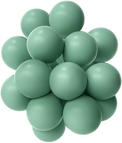 Janinus Sage Green Balloons Party Balloons 10 Inches 50 PCS Olive Green Party Balloons Sage Green La | Amazon (US)