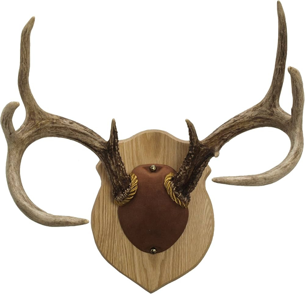 Walnut Hollow Country Antler Mount & Display Kit, Oak , Brown | Amazon (US)