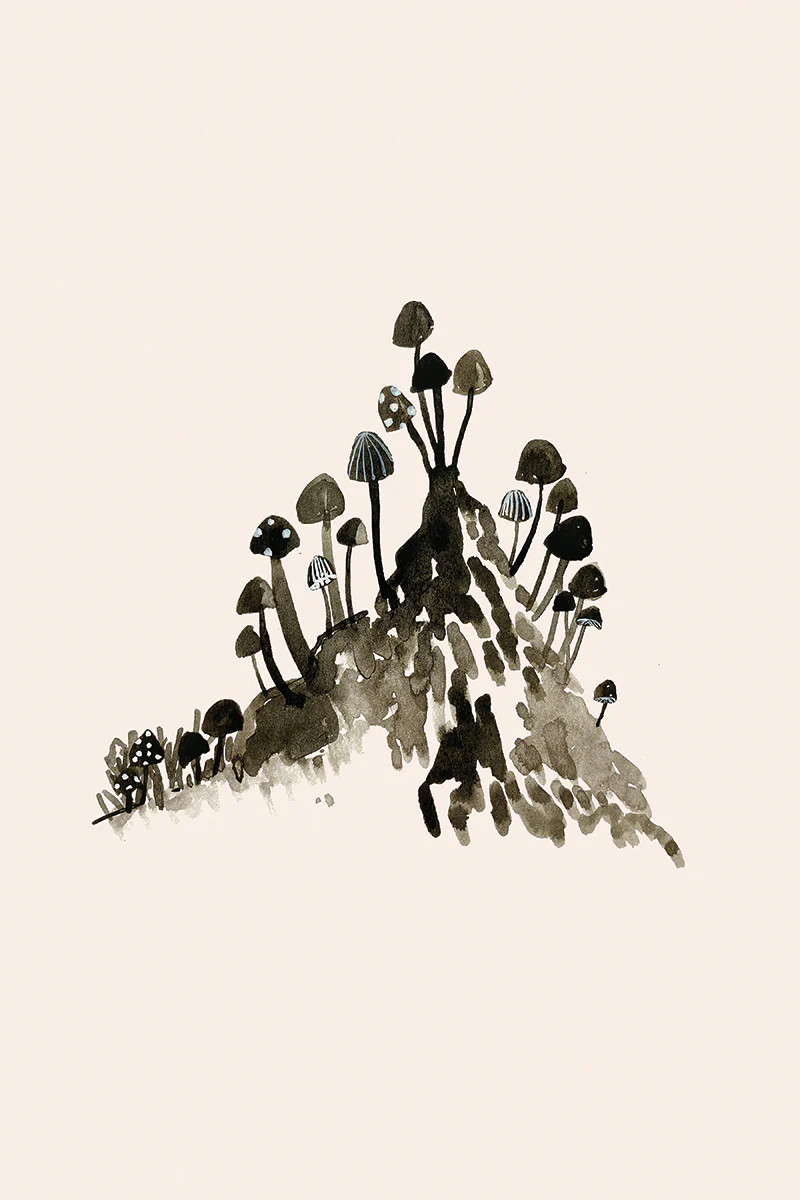 Toadstools | Juniper Print Shop