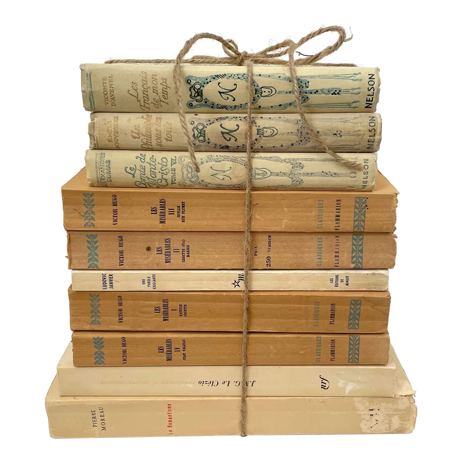 Set of 10 French Classic Literature in the French. | Chairish