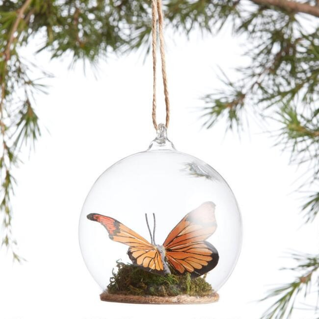 Glass Cloche Butterfly Ornament | World Market