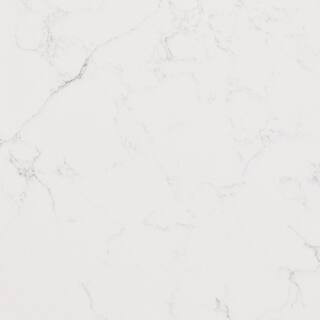 Quartz Countertop Sample in Calacatta Botanica | The Home Depot