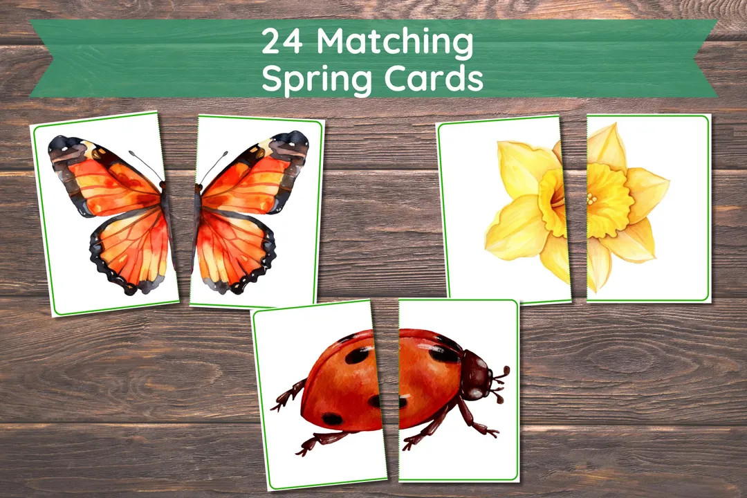 Spring Matching Toddler Activity, Spring Matching, Montessori, Homeschool Resource, Flowers, Spri... | Etsy (US)
