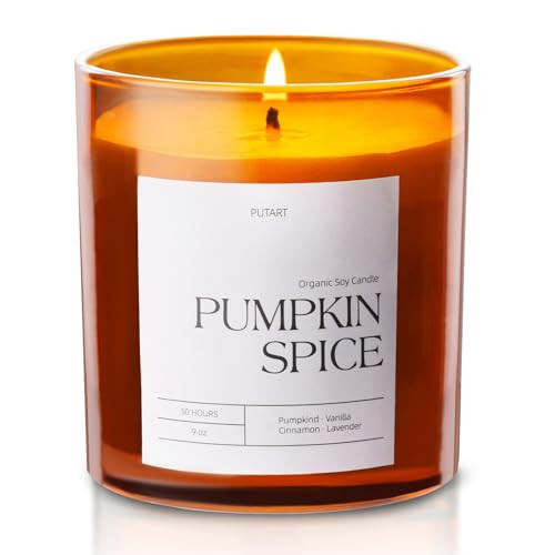 Putart Pumpkin Spice Candles for Home Scented, Luxury & Strong Fragranced Pumpkin Soy Wax Aromatherapy Candle with Long Lasting Burn, Orange Fall Candle Gifts for Halloween, Autumn, Christmas 9oz | Amazon (US)
