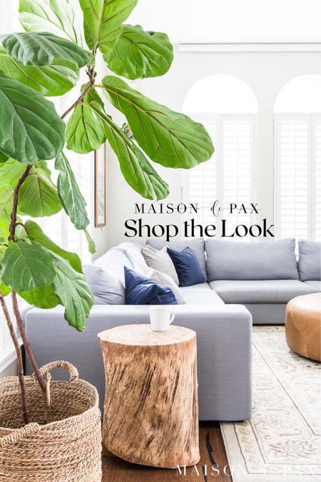 Shop a beautifully curated room fit for a family. All the comforts without sacrificing style. Fiddle leaf fig, sectional sofa, tree log side table, ottoman, velvet pillows 

#LTKfamily #LTKhome