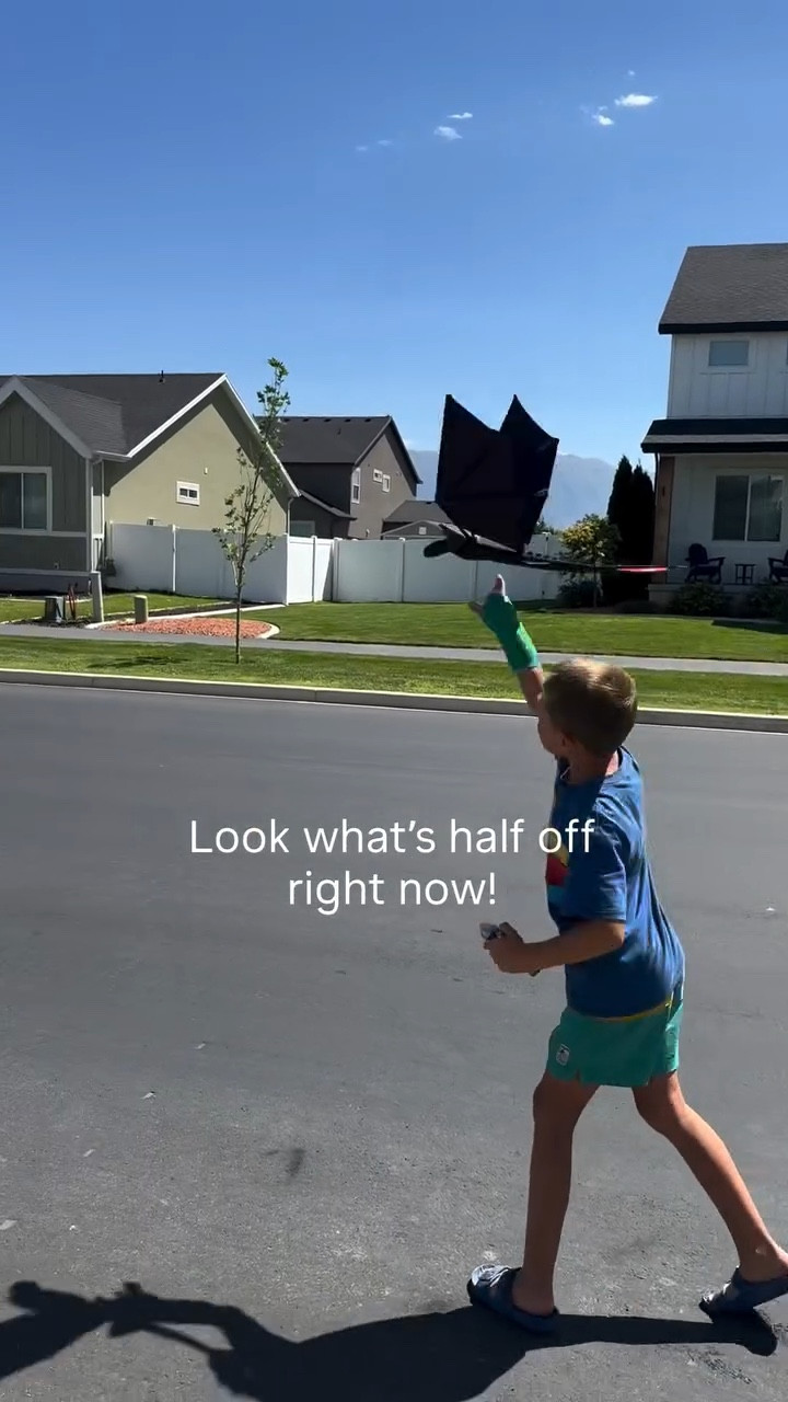 The viral RC flying toothless is half off at Walmart right now! 

#LTKSaleAlert #LTKFindsUnder50 #LTKKids