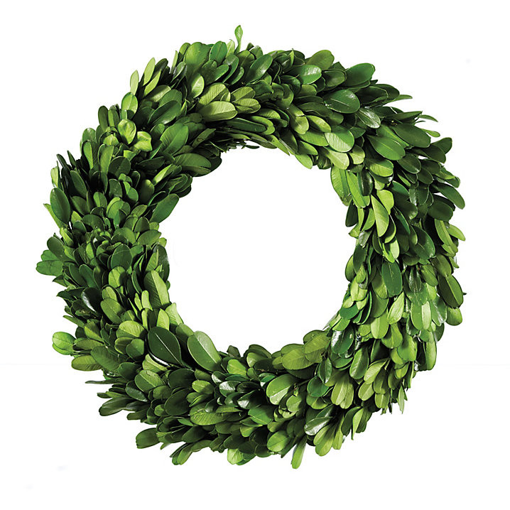 Preserved Boxwood Mini Wreath | Ballard Designs, Inc.