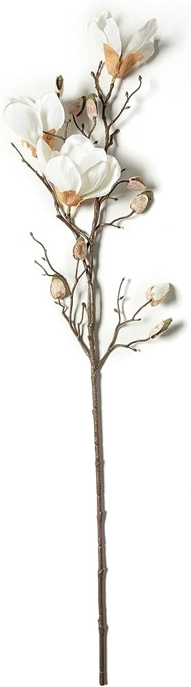 Ashland White Magnolia Branch Stem | Amazon (US)