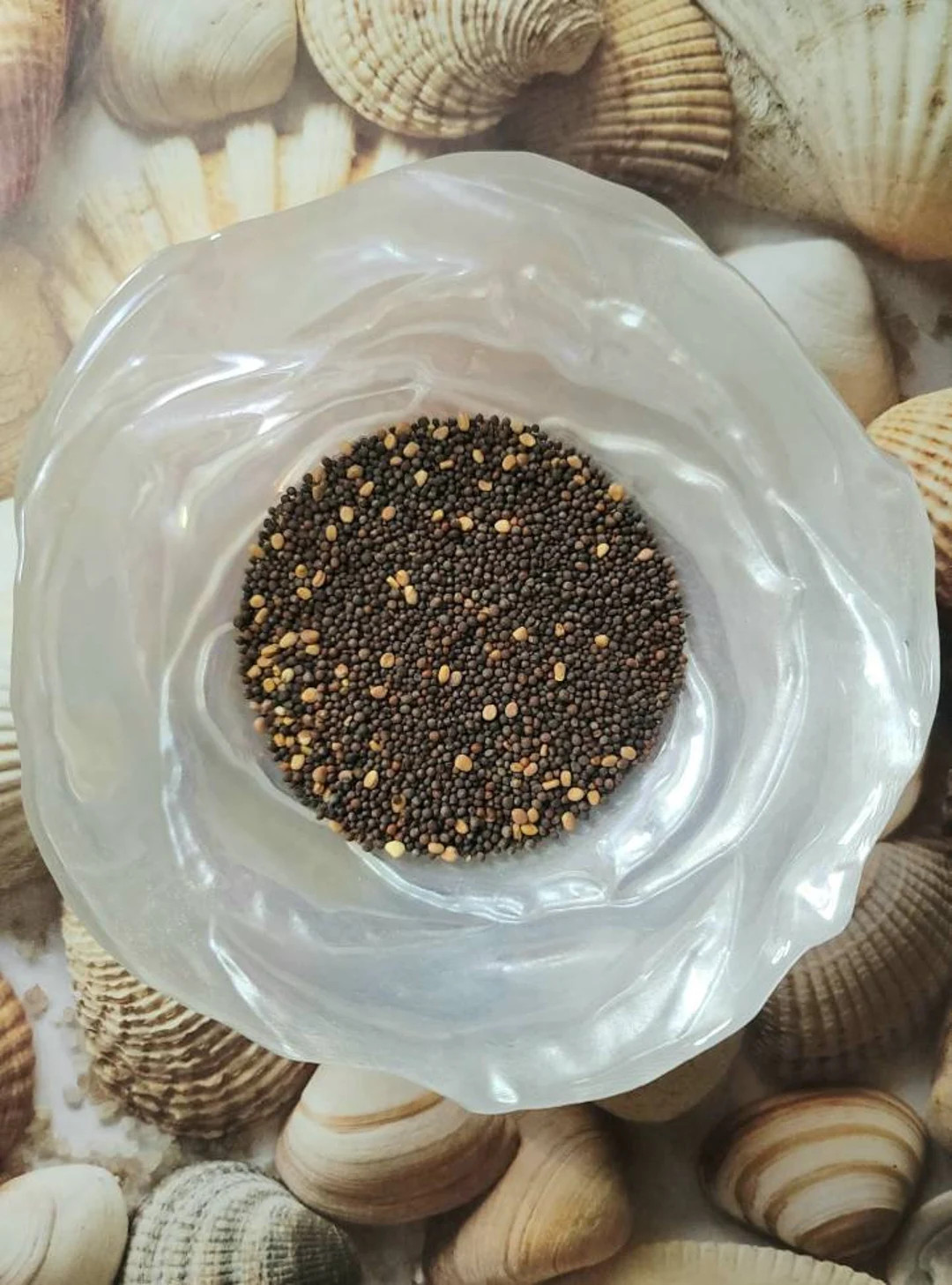 Super Seeds | Hermit Crab Food - Etsy | Etsy (US)