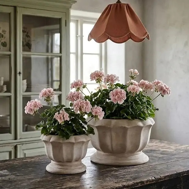 Rustic Terracotta Garden Pots Set of 2 | Antique Farm House