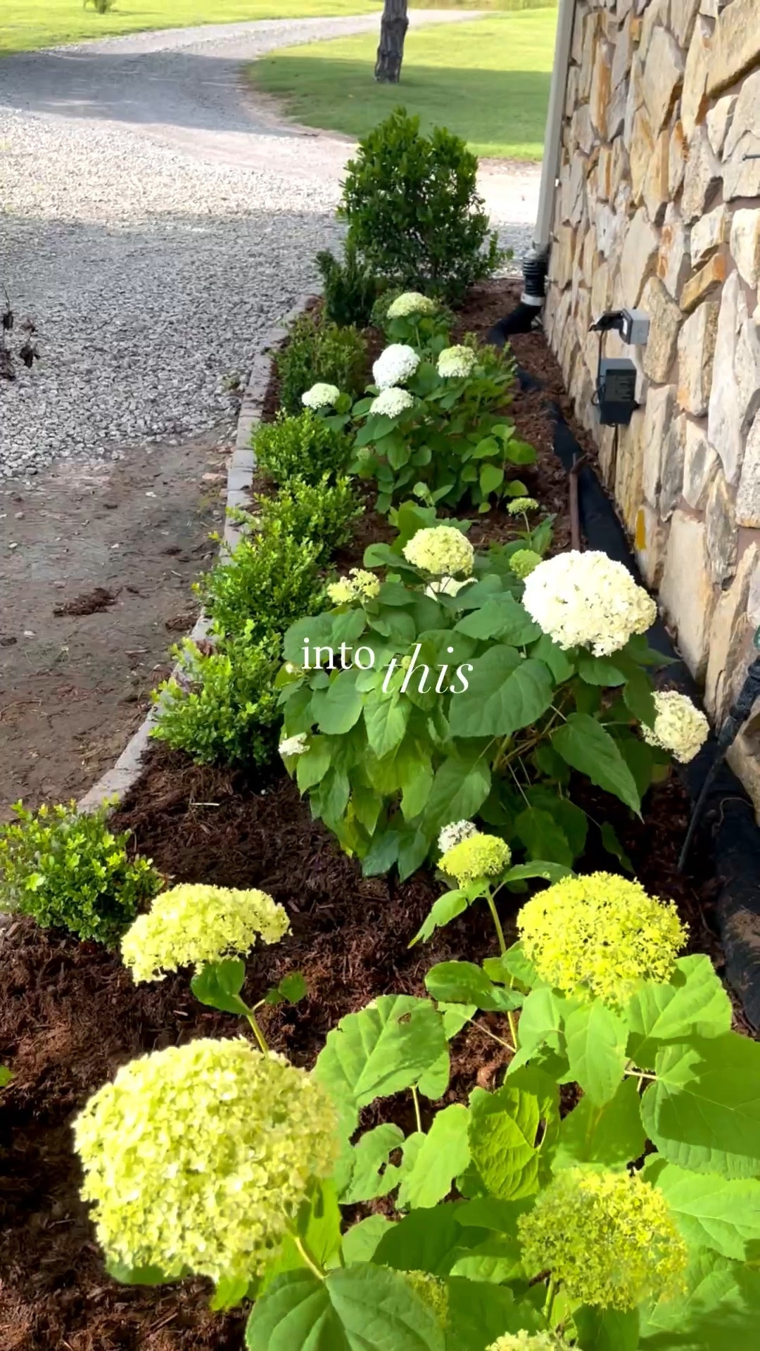 A little attention in February will give you full, overflowing blooms by July.

Here are a few of my favorite garden/landscape tools and supplies. 

#LTKHome #LTKSeasonal