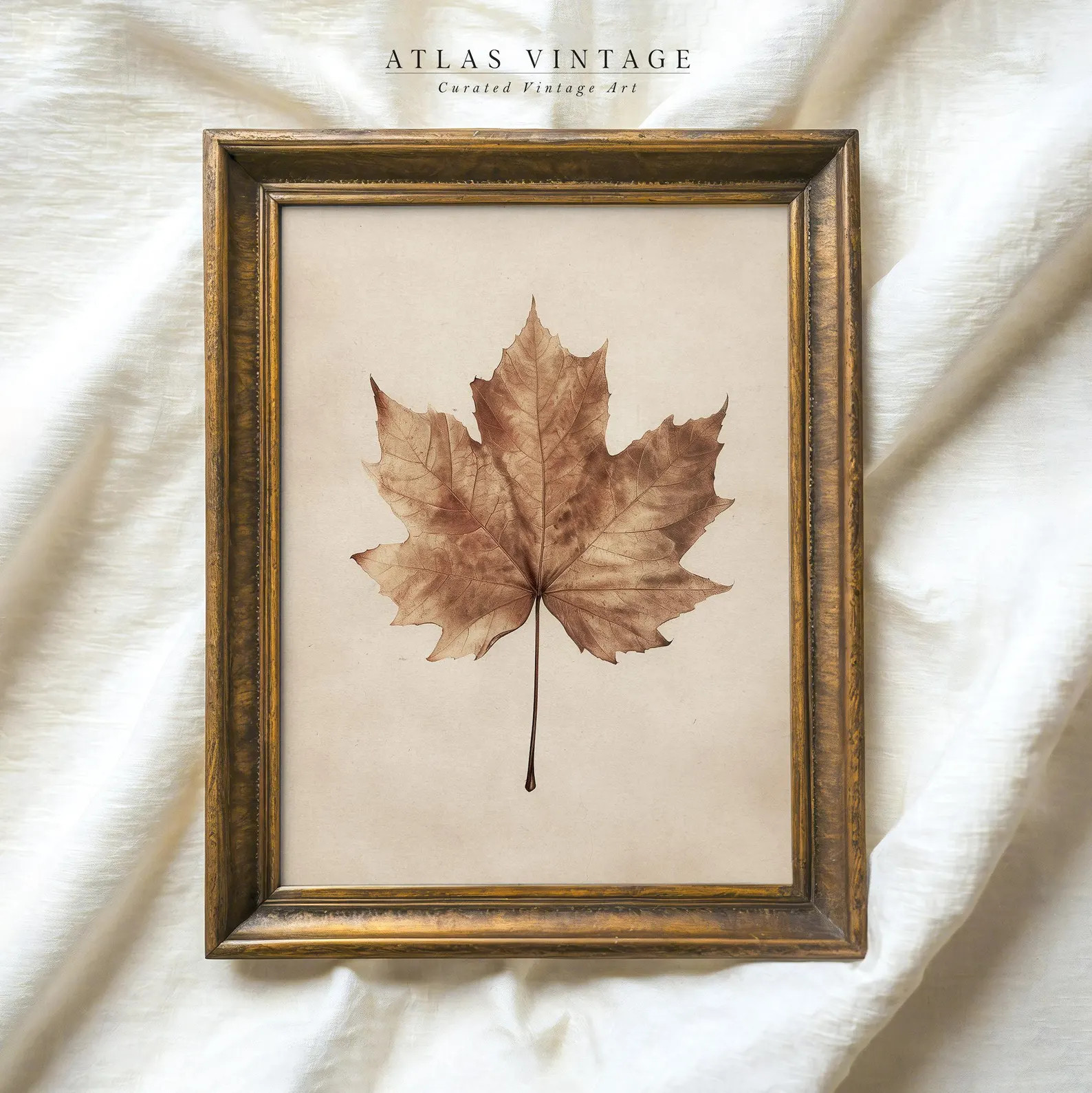 Vintage Fall Leaf Print | Neutral Rustic Farmhouse Autumn Decor | Maple Leaf Painting Digital | H... | Etsy (Global)