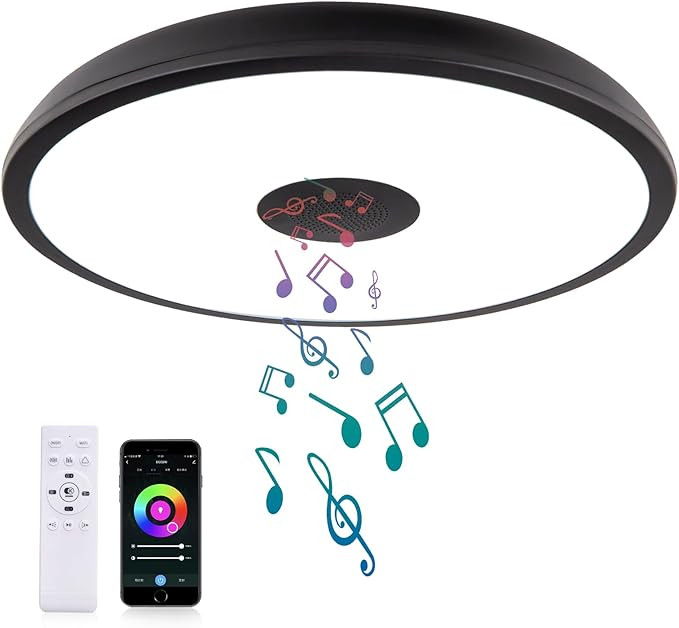 Black Smart Waterproof LED Ceiling Light Fixture,18W,with Bluetooth Speaker,RGB Color Changing fu... | Amazon (US)