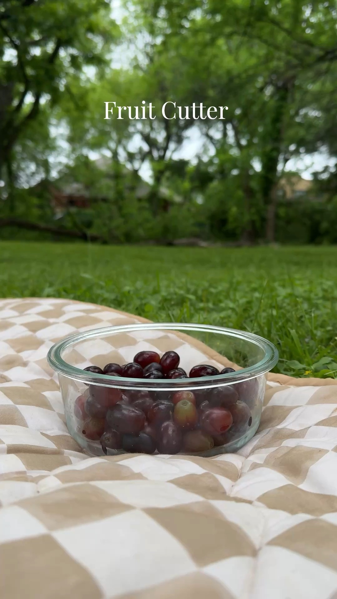 Fruit cutter
Mom hack
Grape cutter
Toddler meal time

#LTKmomlife #LTKKids #LTKBaby