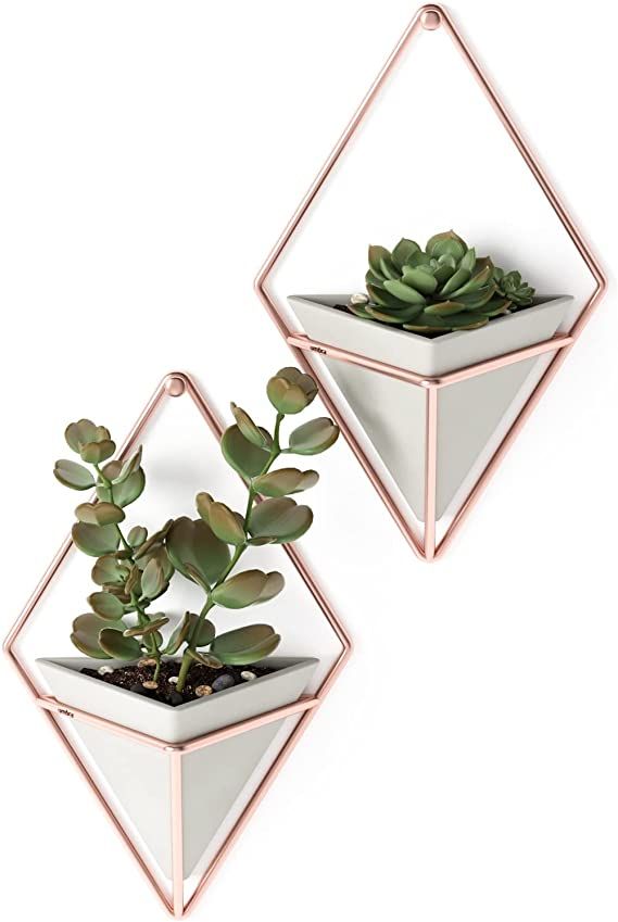 Umbra Trigg Hanging Planter Vase & Geometric Wall Decor Container - Great For Succulent Plants, A... | Amazon (US)