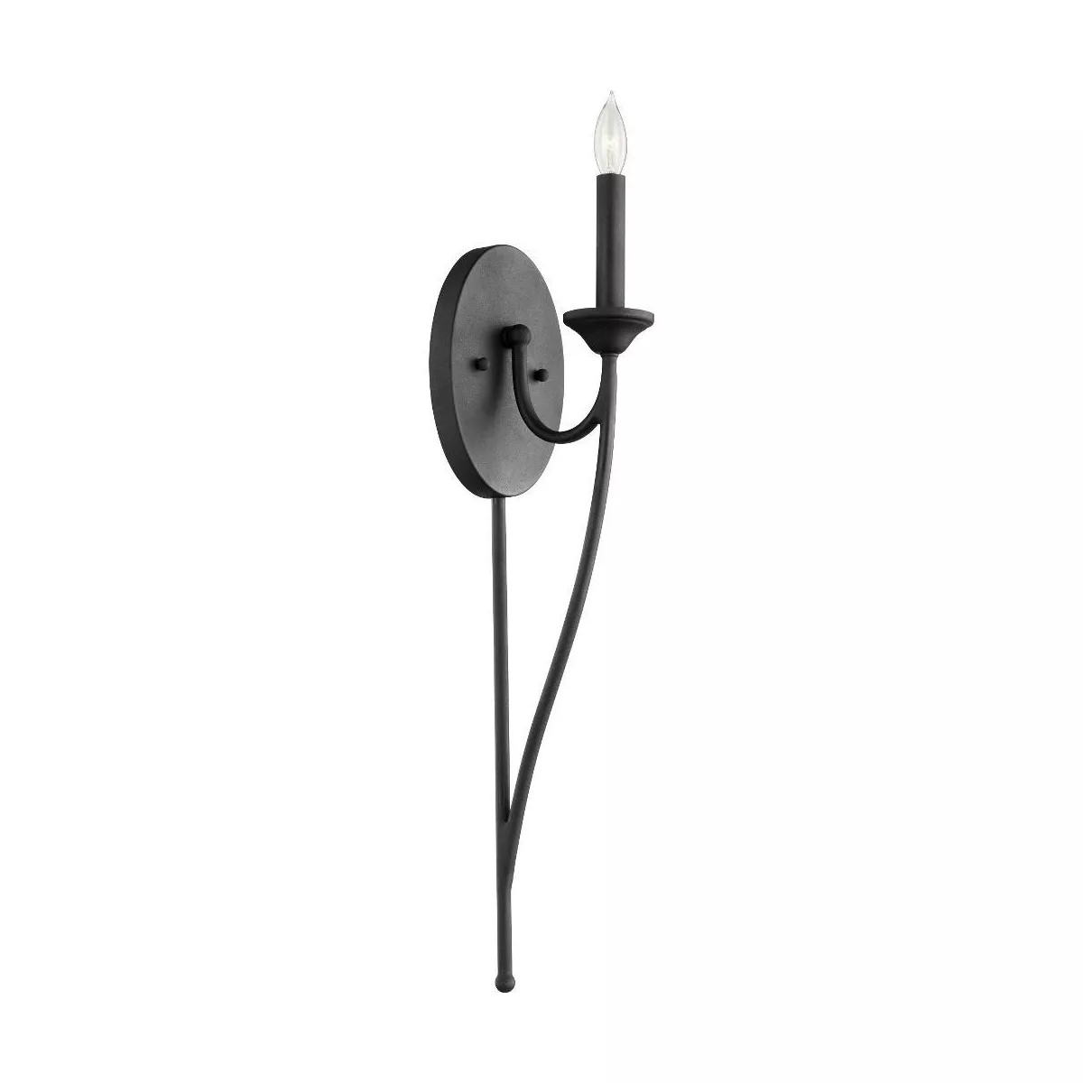 Quorum Lighting Brooks 1-Light Noir Wall Sconce | Target