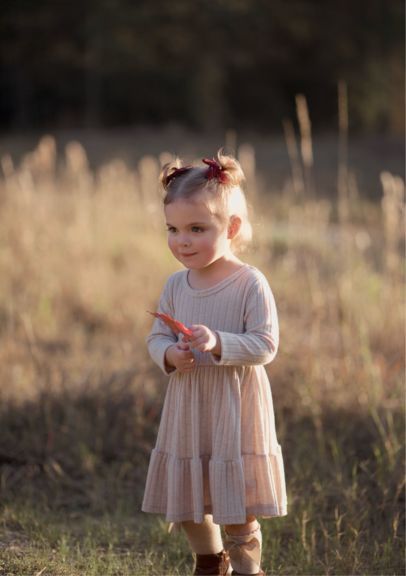 Toddler long sleeve dress 
Toddler bow socks 
Toddler boots
Fall outfit 
Amazon finds


#LTKKids #LTKBaby