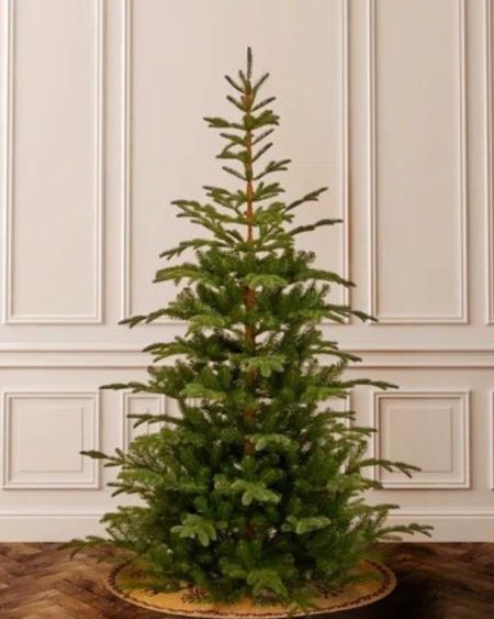 Christmas tree
Christmas Decor
Blue and white Christmas
Blue and gold Christmas 

#LTKhome #LTKSeasonal #LTKHoliday