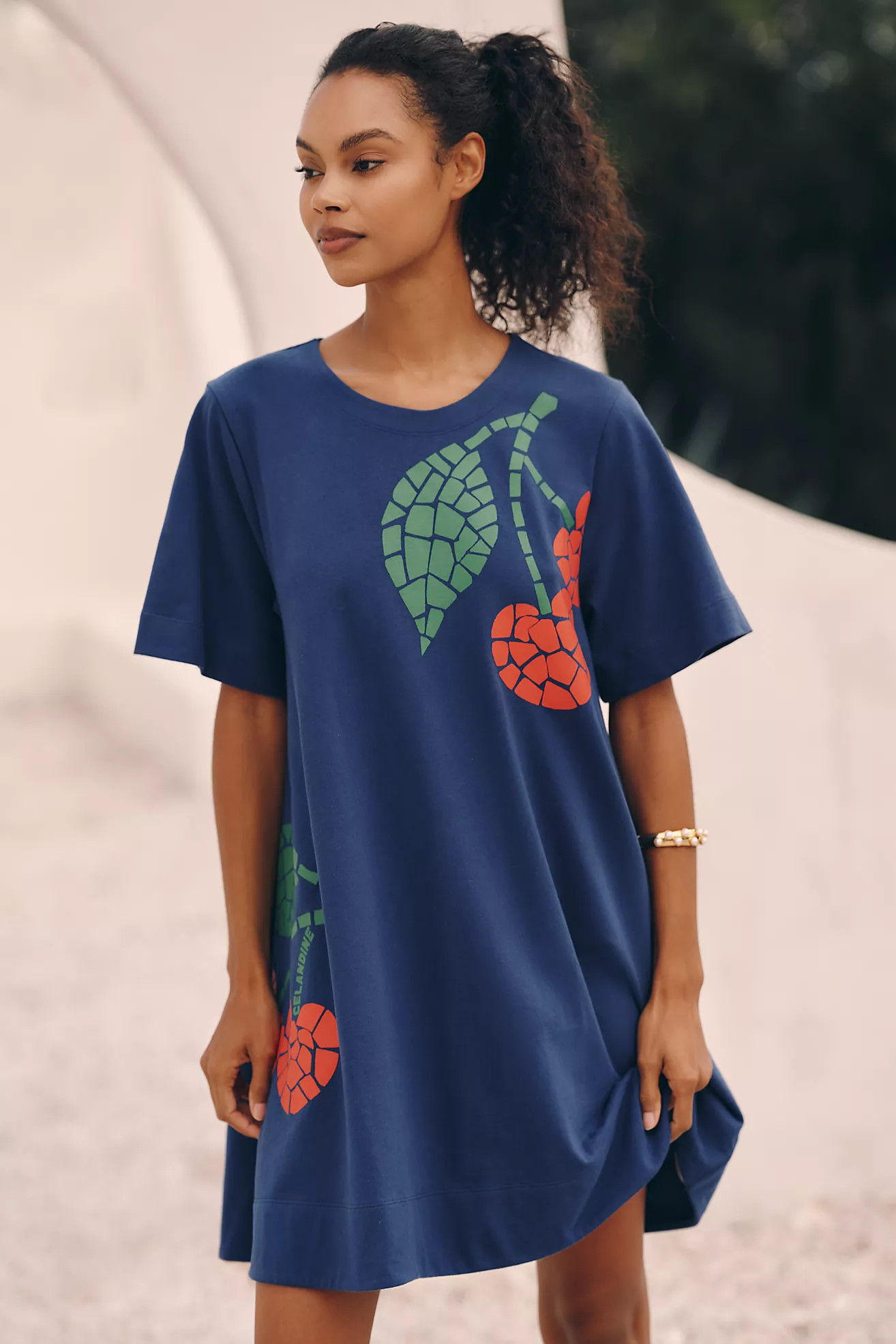 Celandine Graphic Short-Sleeve Mini Swing Dress | Anthropologie (US)