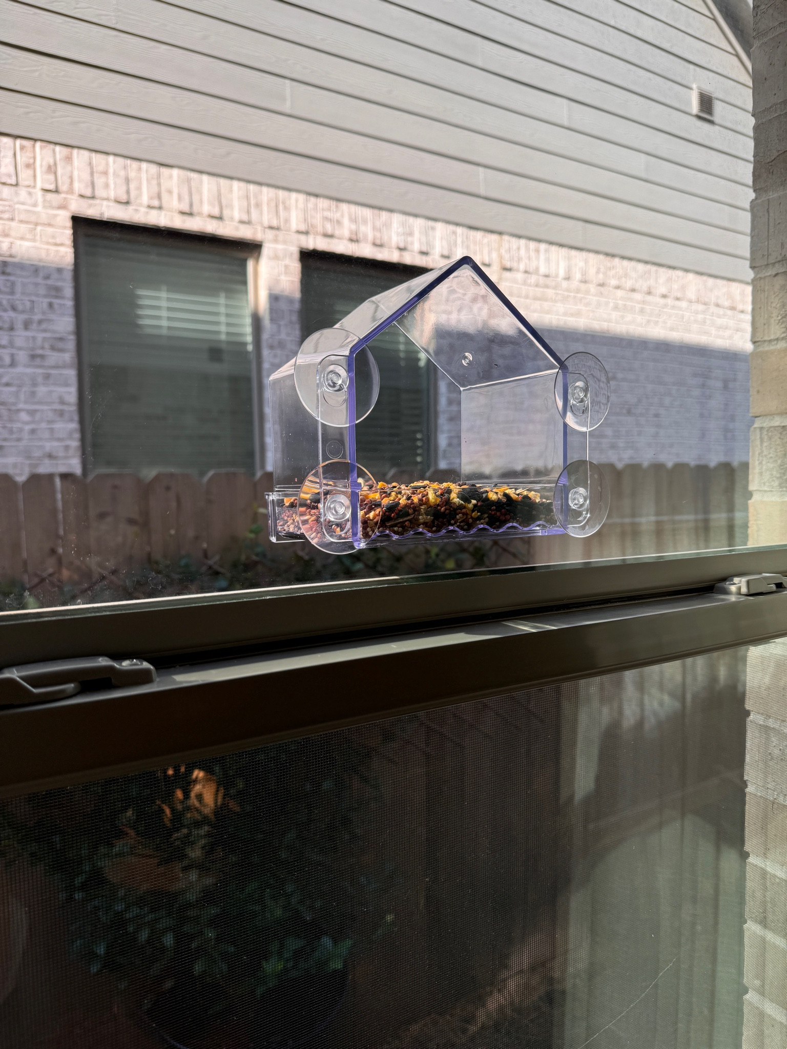 Window bird feeder 

#LTKFindsUnder50 #LTKHome