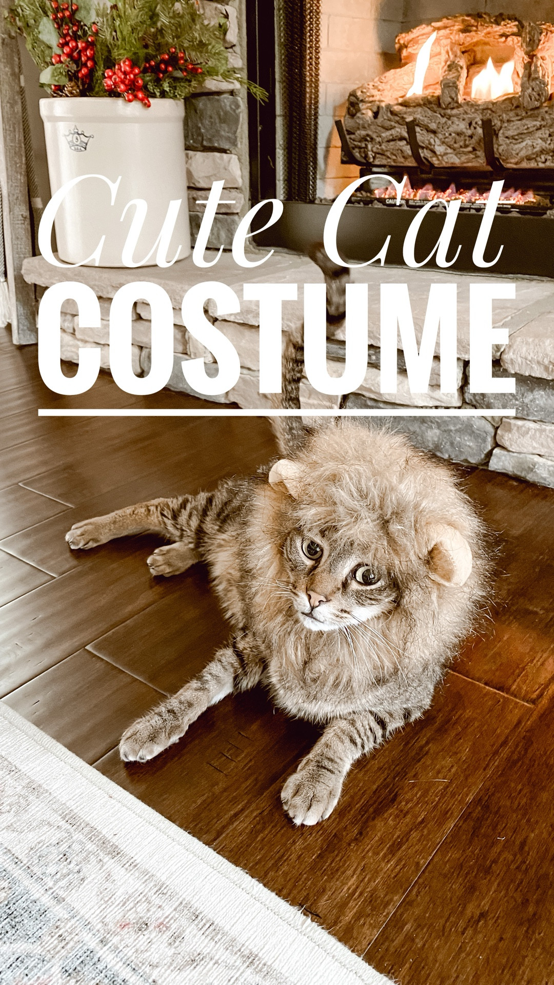 Toby was not feeling his Halloween costume this year 😹 I thought he made the cutest little lion, but apparently he disagreed! 😂 Do your pets love or hate dressing up for Halloween too? 🦁
