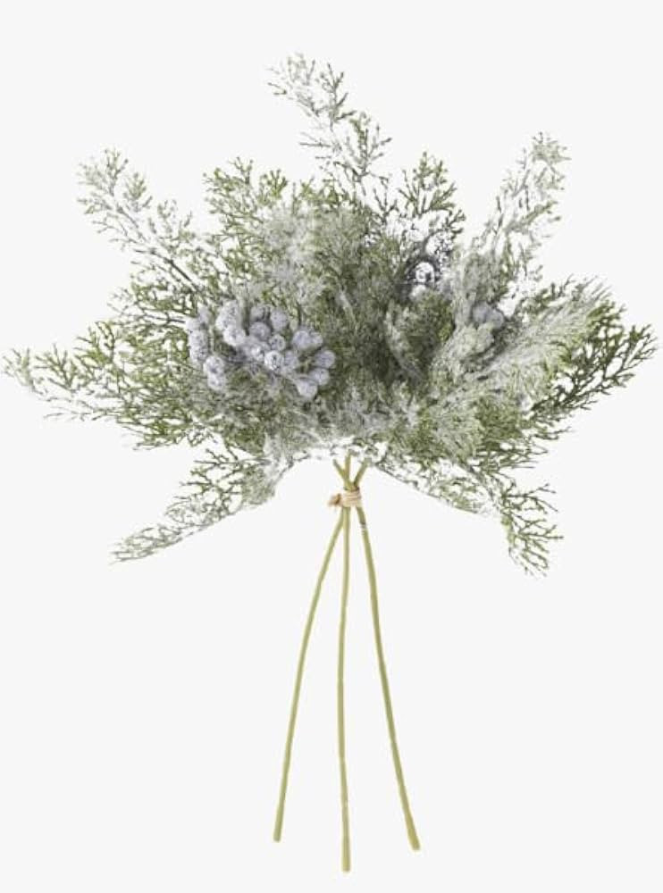 Cedar with Berries Bundle | Amazon (US)