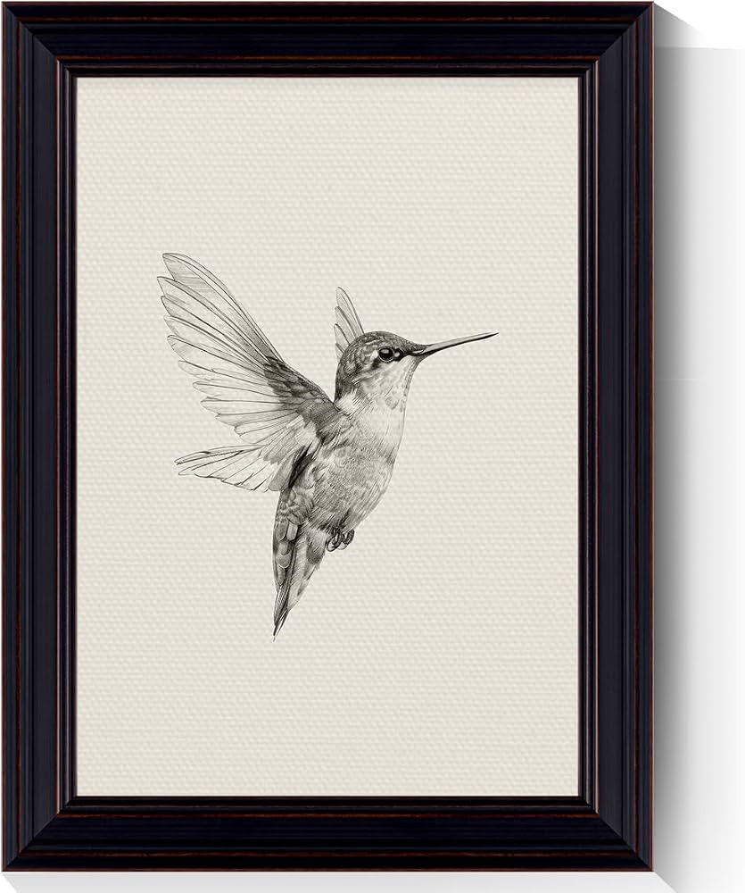 Hummingbird Framed Canvas Wall Art, Minimal Bird Sketch Painting Poster, Classic Black White Humm... | Amazon (US)