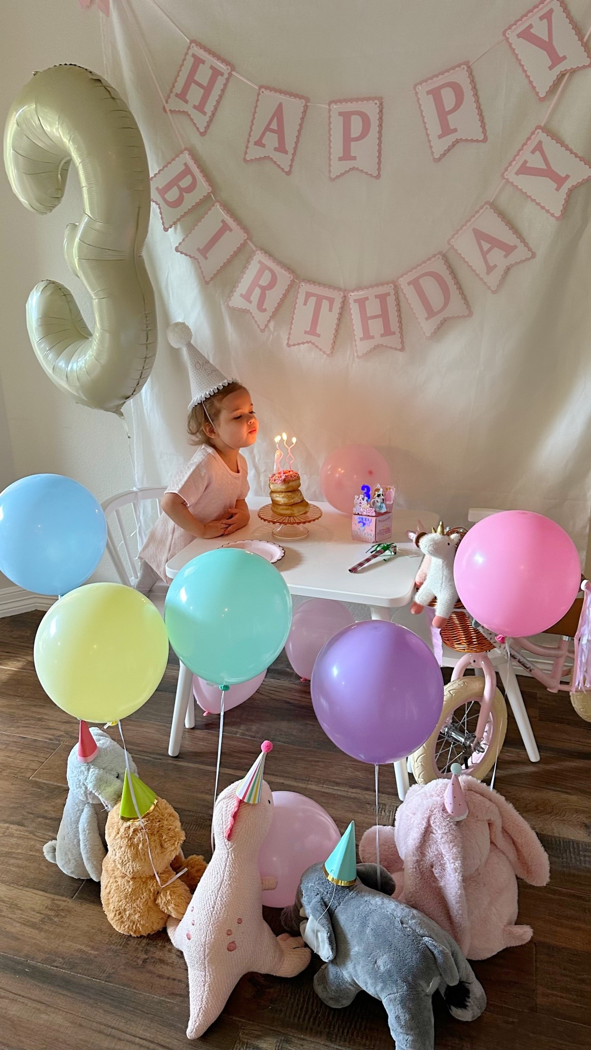 Birthday banner 
Birthday toddler hat Amazon birthday finds


#LTKParties #LTKKids