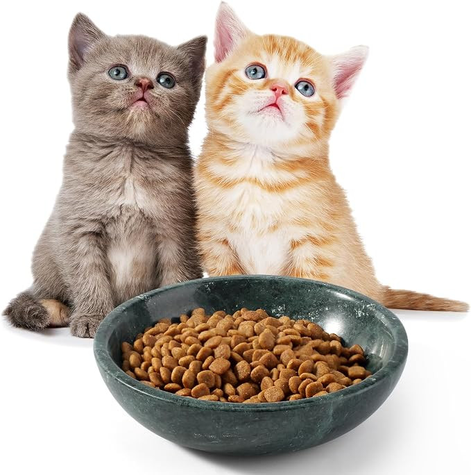 Natural Marble Cat Bowl, Weighted 1.5lb Cat Food Bowl for Cat and Small Dog, Small Animal Pet Foo... | Amazon (US)
