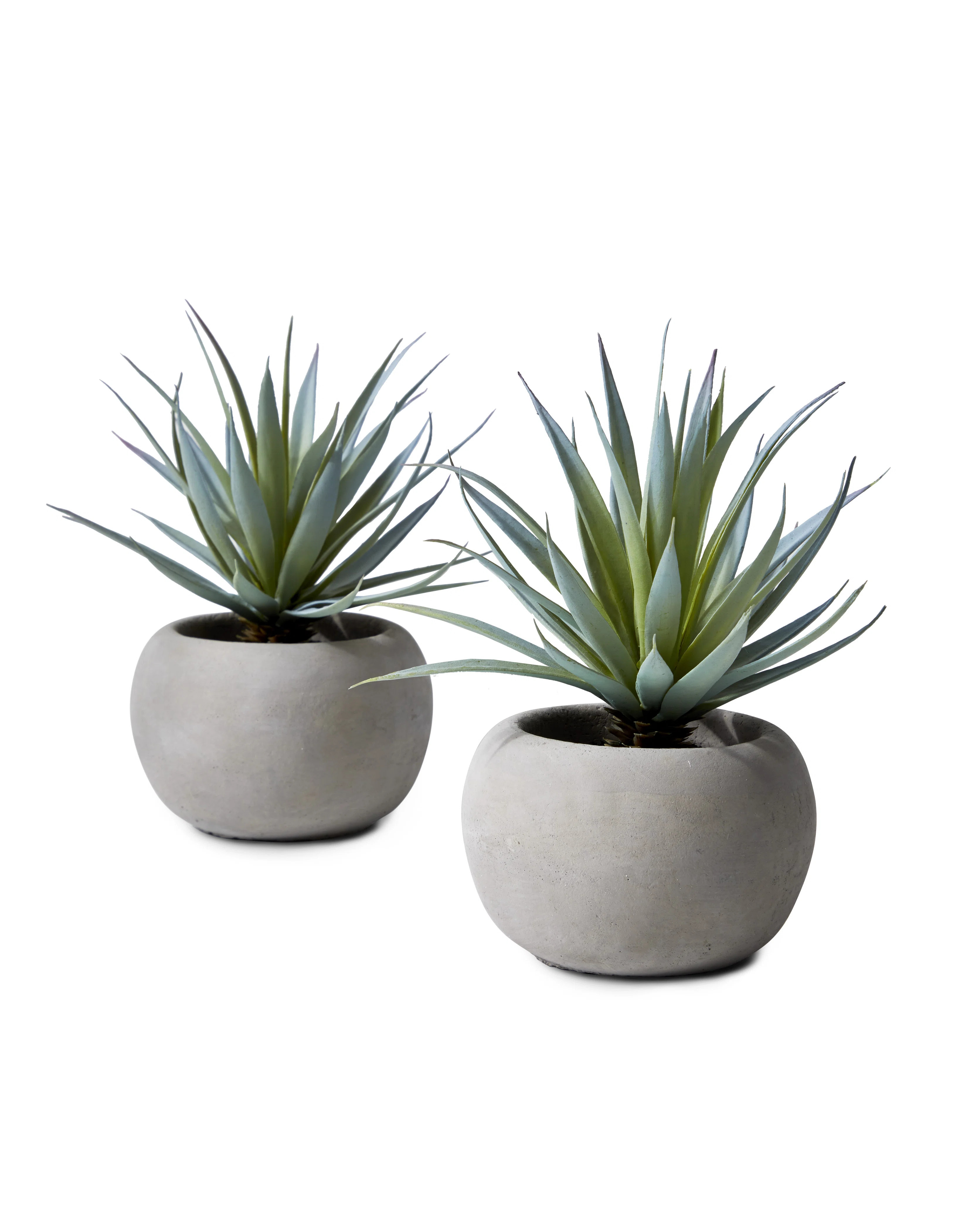 Primrue Evergreen Grass Pot Set & Reviews | Wayfair | Wayfair North America