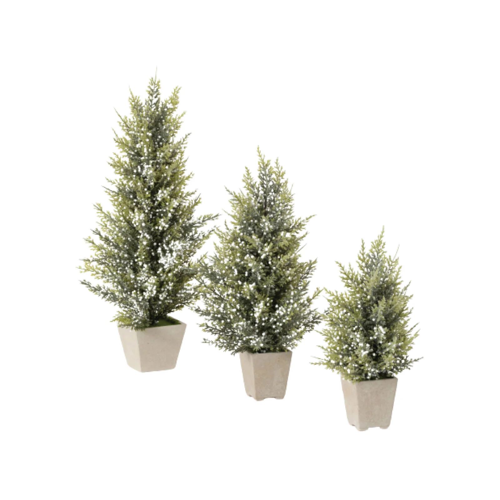 Potted Pine Berry Trees, Set of 3 | Brooke and Lou