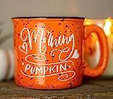 Morning Pumpkin Fall Mug Orange Mug Fall Decor | Amazon (US)