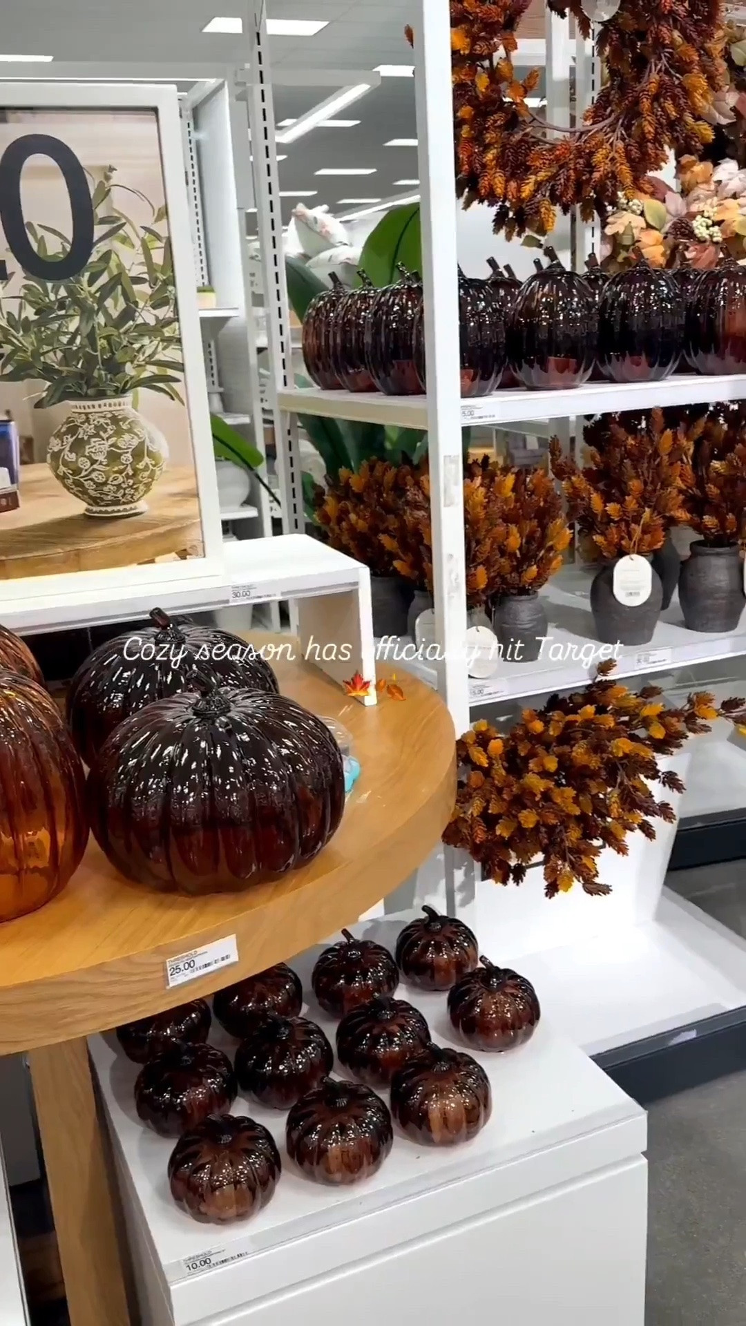 Fall has hit Target 🍁🍂 I’m loving all of the fall colors 😍 

Target, fall home decor, hosting, fall tablescape, Thanksgiving hosting, pumpkins, table setting

#LTKHome #LTKSeasonal #LTKdayinmylife