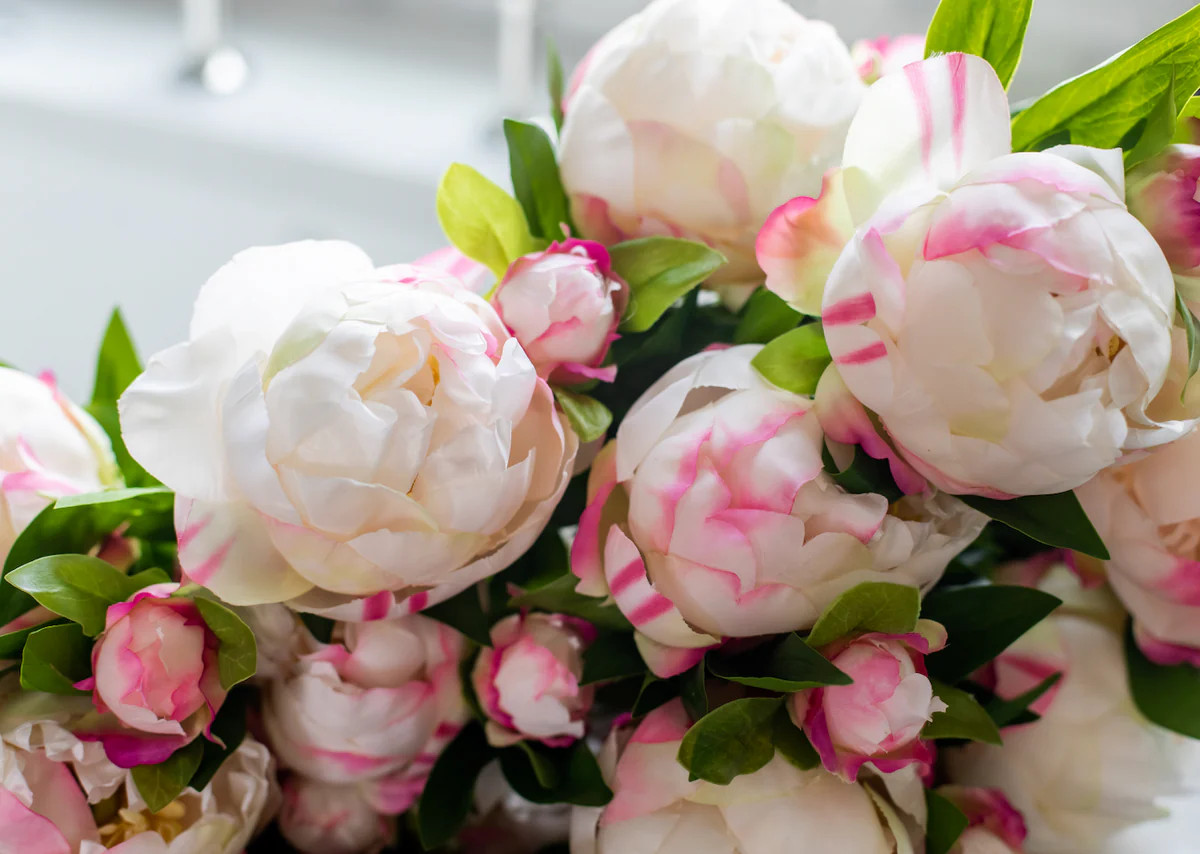 LONG STEM PEONY | The Crowded Table Co. 