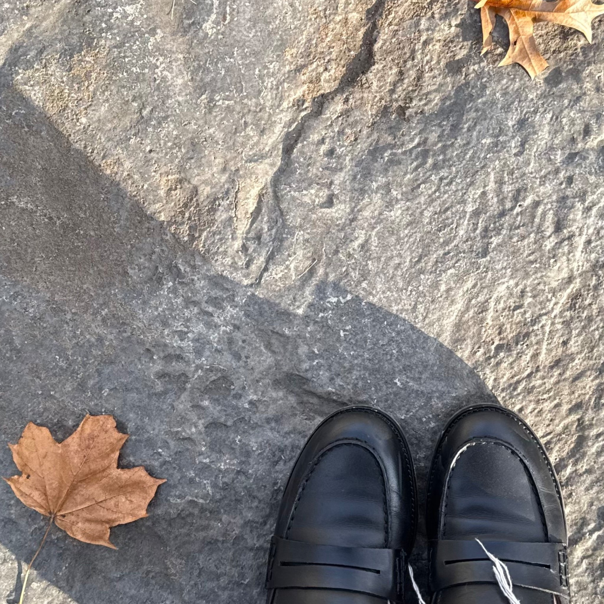 Loaferssss >>>

#LTKGiftGuide #LTKootd