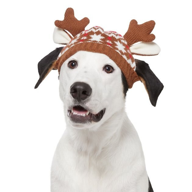 FRISCO Antler Fair Isle Dog & Cat Hat, X-Large/XX-Large - Chewy.com | Chewy.com