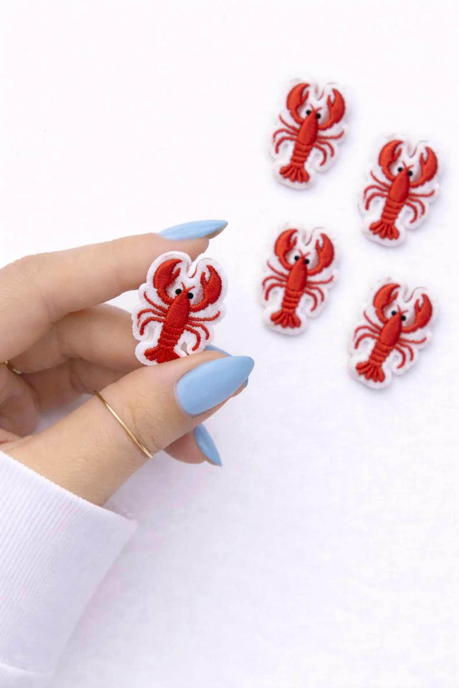 Mini Lobster Iron-On Patches, Embroidered DIY Accessories, Trendy Small Patch, Set of 10 Patches | Etsy (Global)