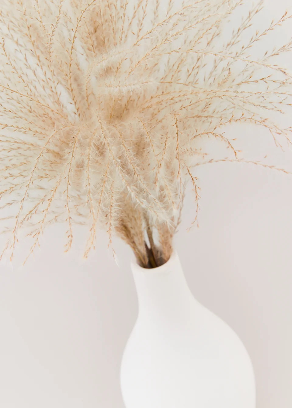 Faux Pampas in Cream Vase | Matalan (UK)