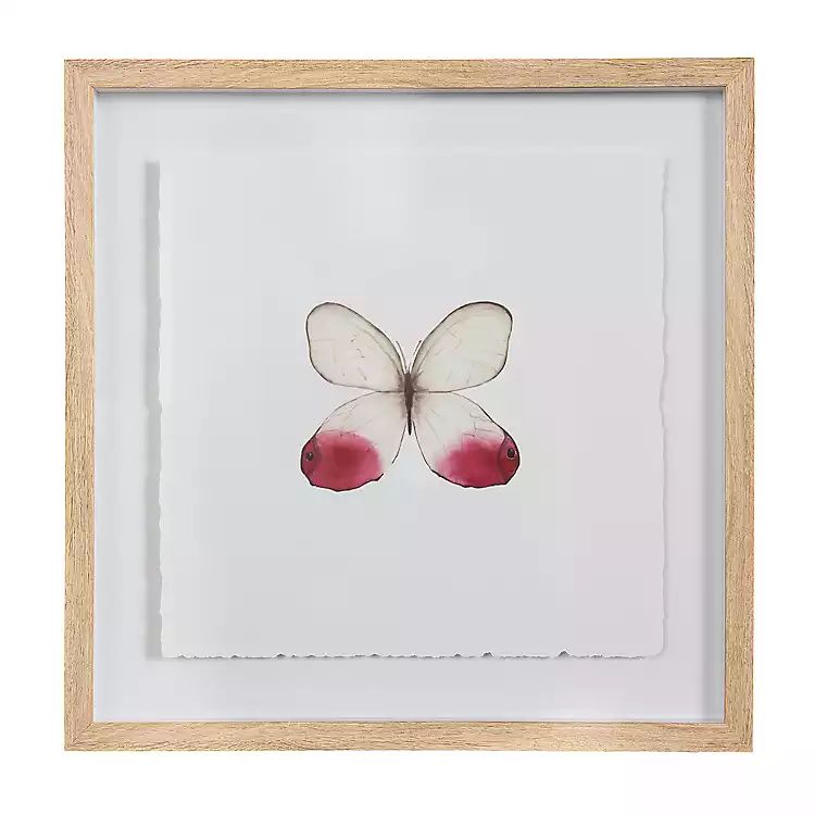 Cream Wings Framed Art Print | Kirkland's Home